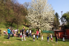 image-22-04-13-04-29-1