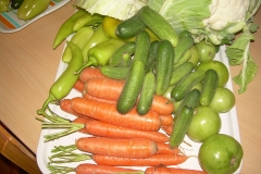 DSCN9991
