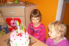 Iva-4-9
