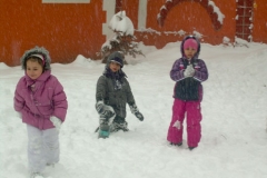 zima2012_13