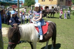 zlatibor00010