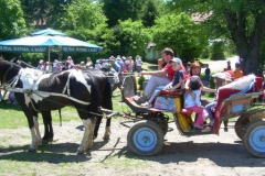 zlatibor00013